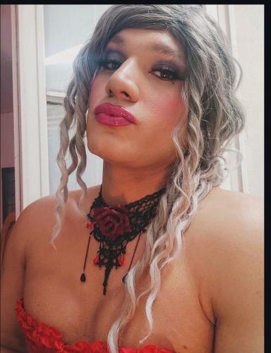 Zaphir active - Escort Bussy Saint Georges